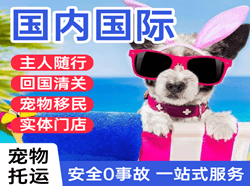 杭州空运地址国际宠物托运 【国